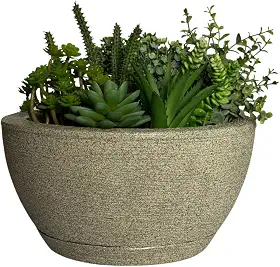 Vaso Bacia Cuia P/plantas Decorativa Luxo Terrário Jardim C/prato (Cinza)