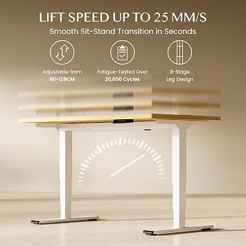 FLEXISPOT E6 MAX ONE PIECE Electric Standing Desk with USB 2 Motors 3 Stage