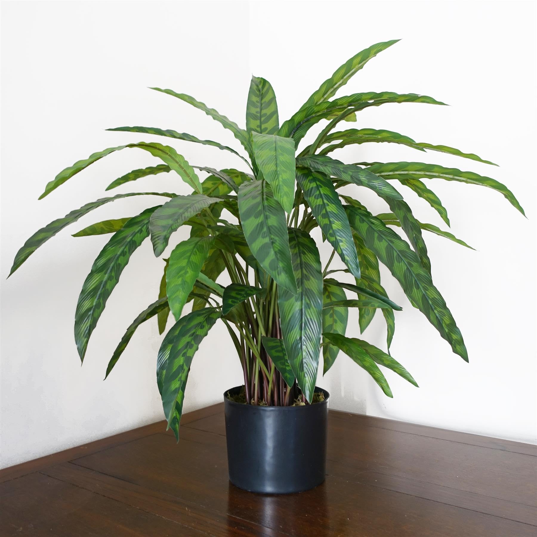 Variegated Artificial 60cm Calathea Plant Practical Everyday Home Use