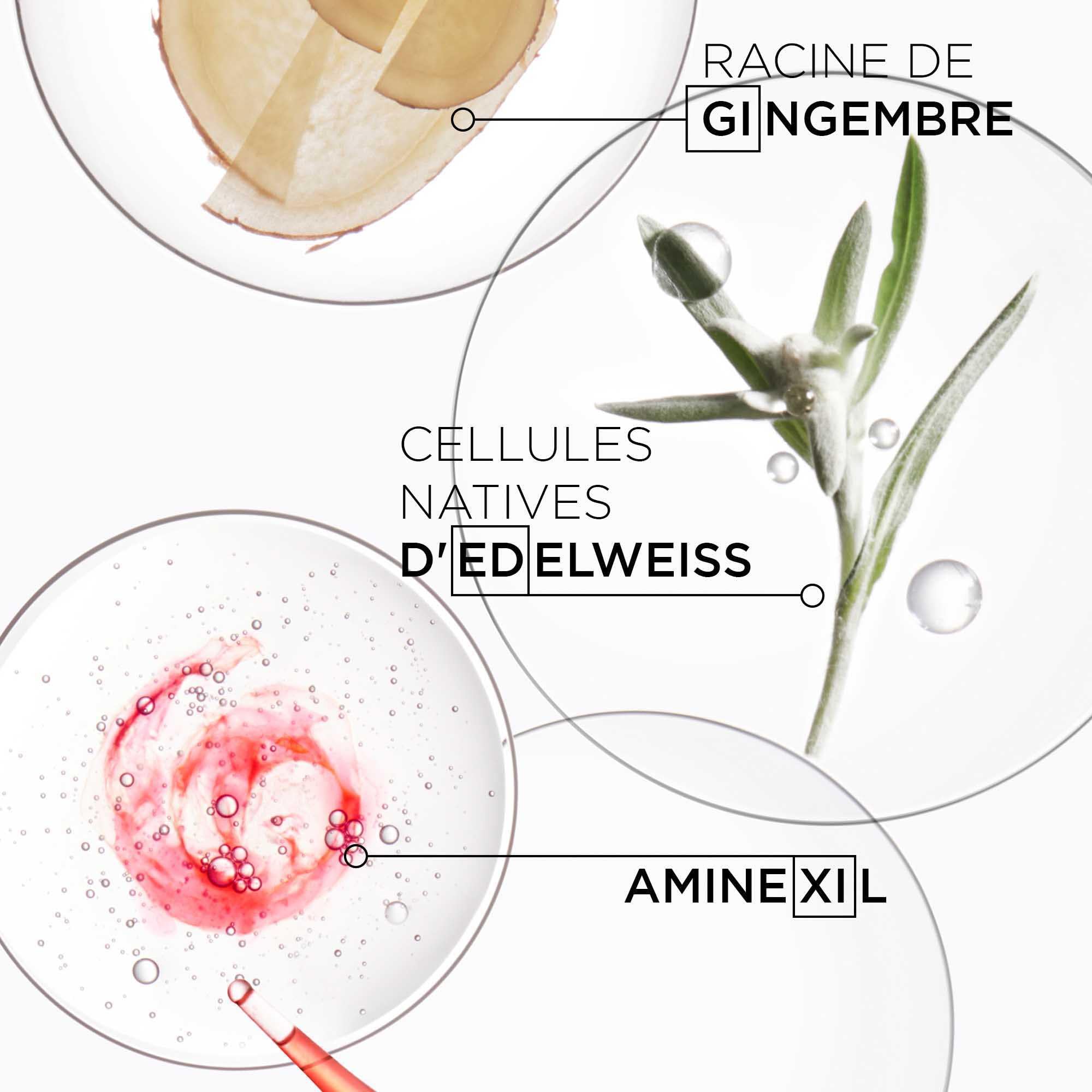 KÉRASTASE Genesis - Routine Nourissante & Anti-Casse pour Cheveux Fragiles - Renforce & Réduit la Casse - Aminexil