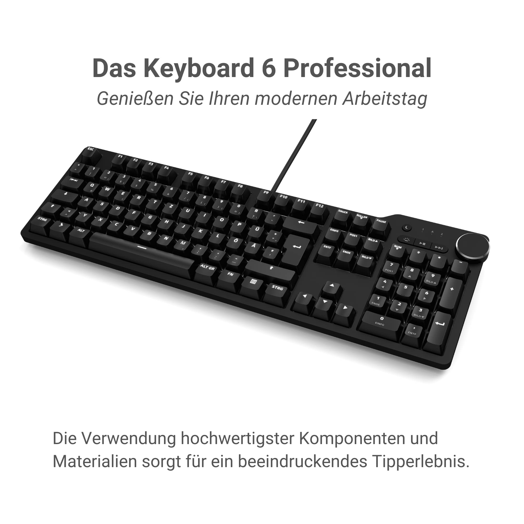 Das Keyboard 6 Professional Mechanische Tastatur QWERTZ DE Layout - 105 Tasten, LED-Beleuchtung, Cherry MX Brown Soft Clicky, USB 3.1 Hub, Multimediatasten, NKRO, Aluminiumgehäuse (DK6PBTLEDMXBDEX)