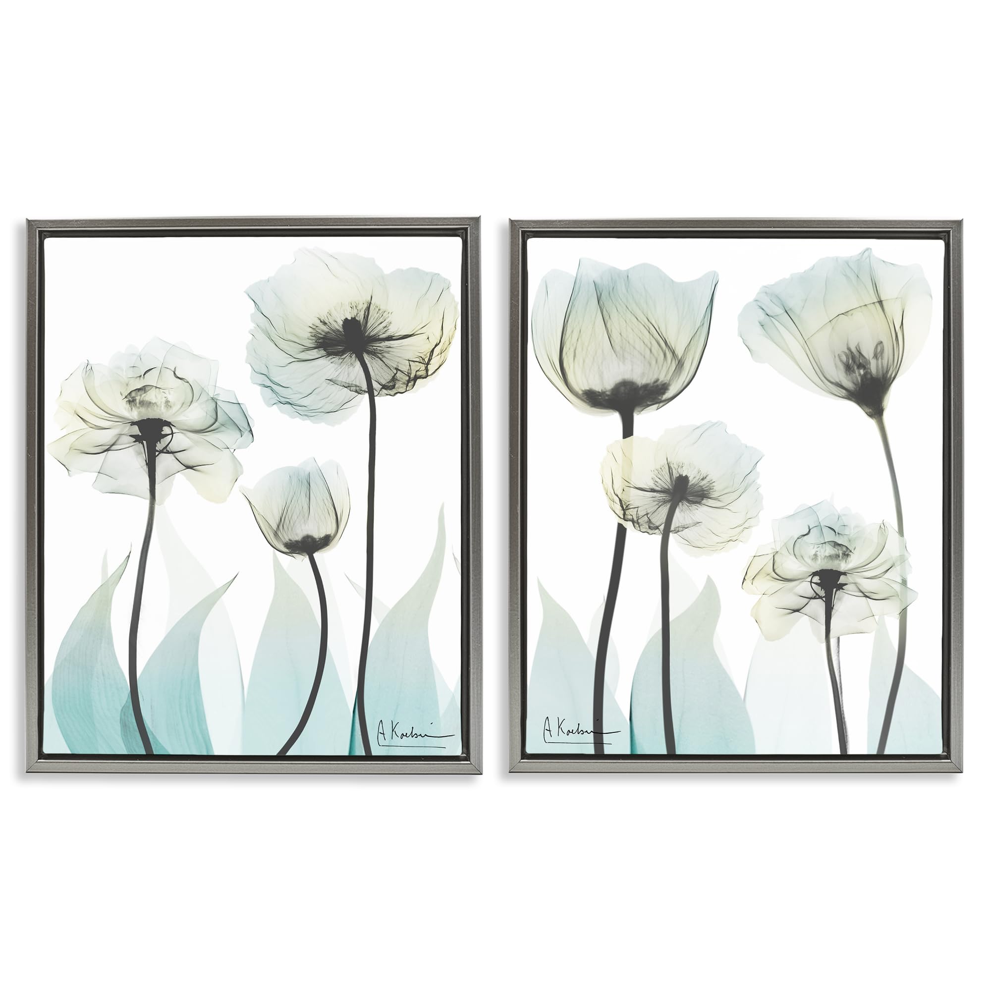 Stupell Industries 'Luxury Of Creation Flowers', 2pc Floating Frame Art Set 2, Gray, 25 x 31 Inches, Easy to Hang and Sturdy, Made in USA, by Albert Koetsier