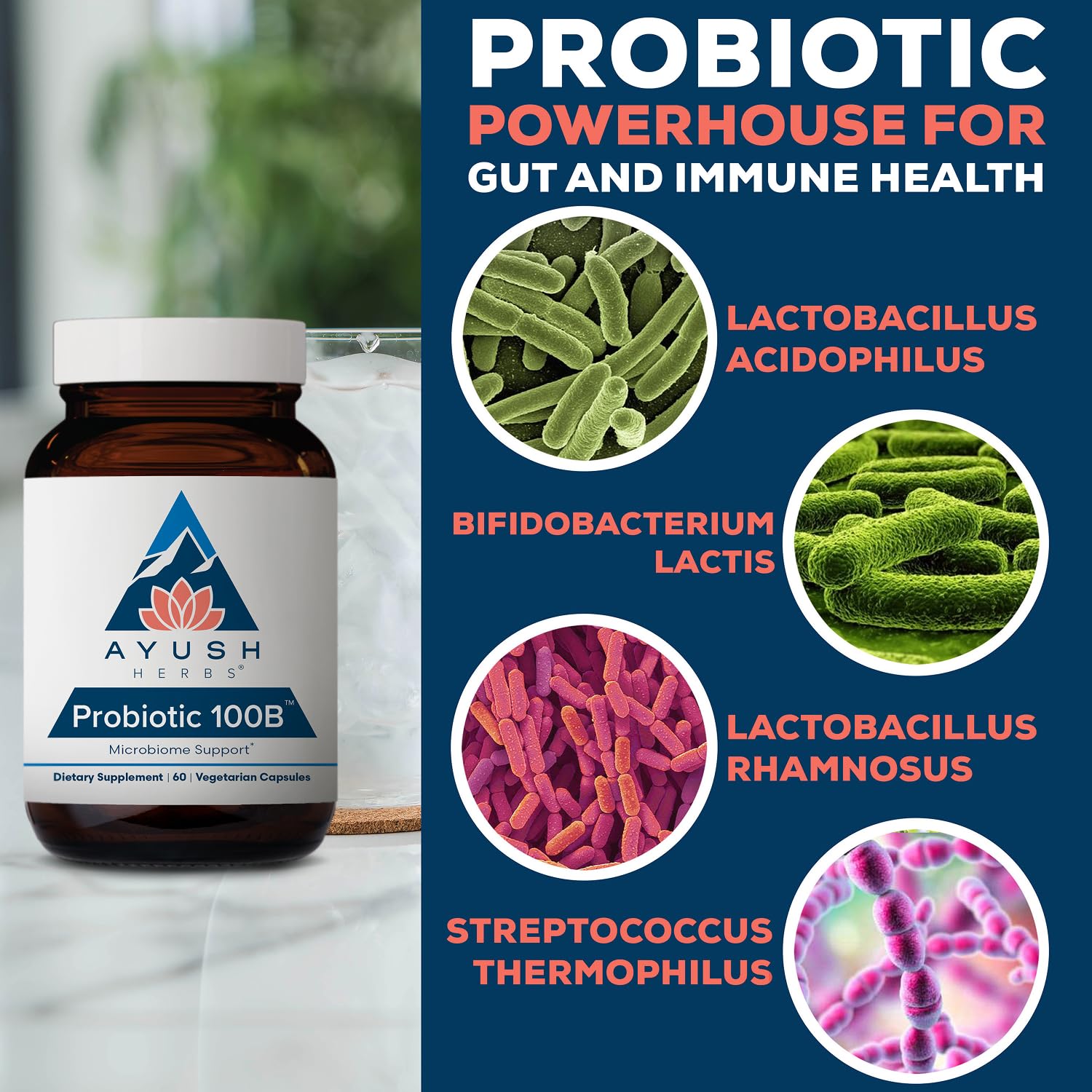 Ayush Herbs Probiotic 100B, Probiotics for Women, 60 Vegetarian Capsules — Amazon image 4