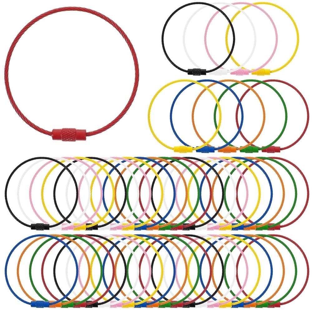 40 Pack Key Chain Stainless Steel Wire Keychain Cable Large Key Rings Assorted Color Luggage Tag Loops for Hanging Luggage Tags, Keyrings, Key Tags, and Tag Keepers