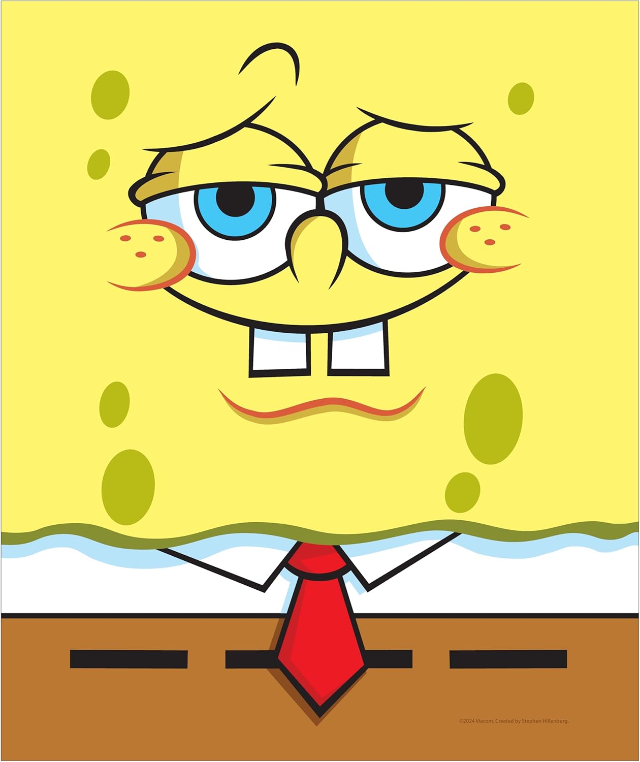 SPONGEBOB SQUAREPANTS Soft Cozy Fleece Throw Blanket, 50 x 60 inches