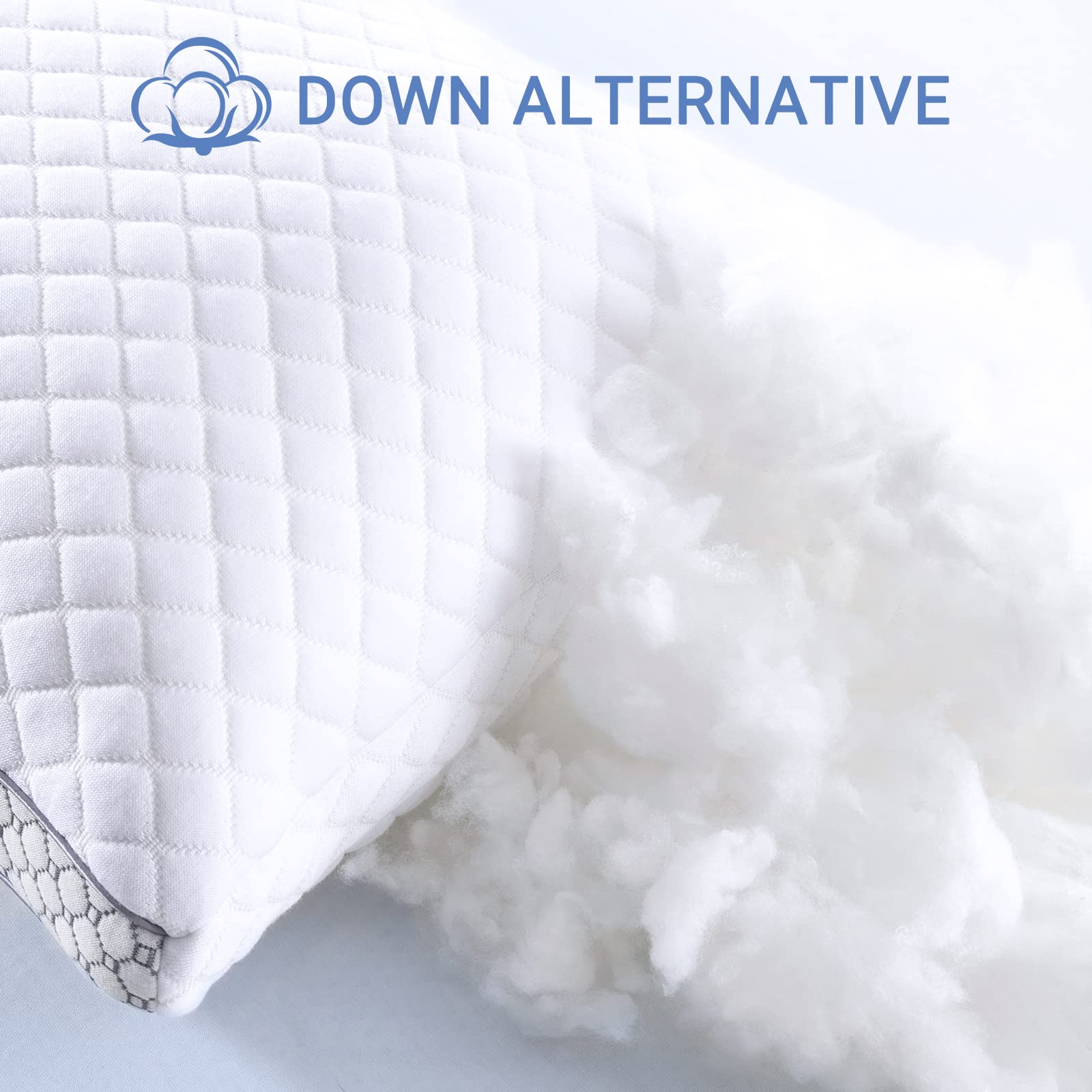 https://m.media-amazon.com/images/I/718smvpIdcL.jpg