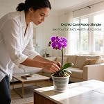T4U Orchid Pots, 5.5 Inch 6 Pack Nursery Pots with Holes and Saucers, Slotted Plastic Planter for Repotting, Indoor Outdoor Decor for Mature Phalaenopsis and Cattleya | Phalaenopsis dendrobium, Slotted ventilation drainage, Root growth visible, Trans