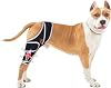 Dog Knee Brace for Torn Acl Hind Leg - Relieves Ligament Injury and Joint Pain, Adjustable Leg Support Bracket for Warmth and Support, Universal Dog Knee Brace for Four Legs, S