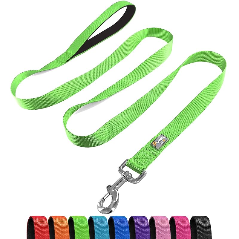 Guia refletiva para cães de nylon com alça acolchoada penseepet Green, tamanho Large, 2,54 cm x 1,83 m