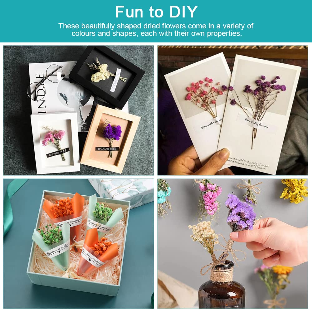 Fiori Secchi Naturali LEEQ - 6 Mazzi Decorativi Per DIY, Resina, Scrapbooking E Decorazioni Casa - Foto 3