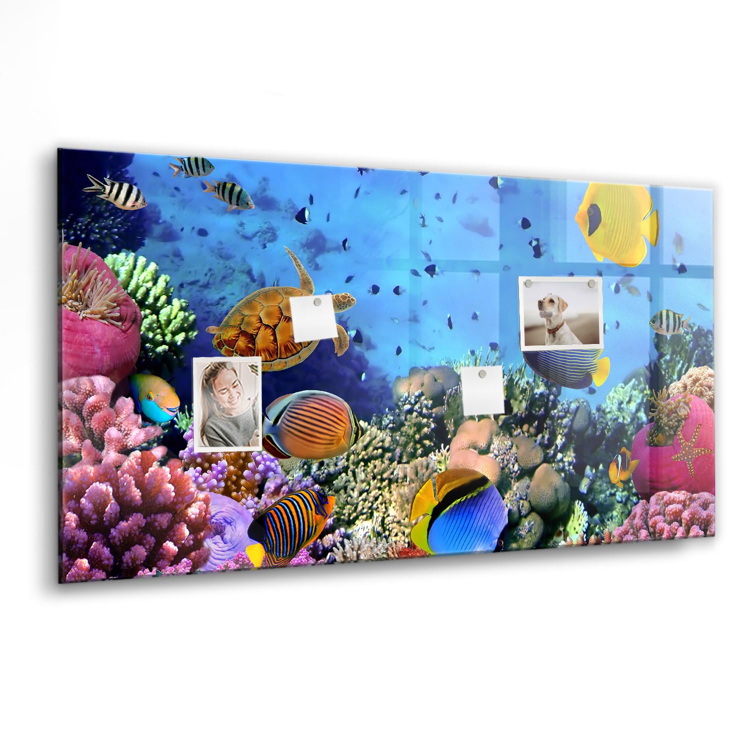 Whiteboard élégant en verre magnétique 120x60cm au design Vie Sous-Marine - 7