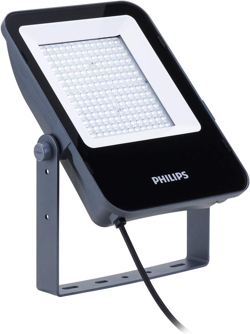 Lighting 911401733302 LED Floodlight Asymmetric 100W