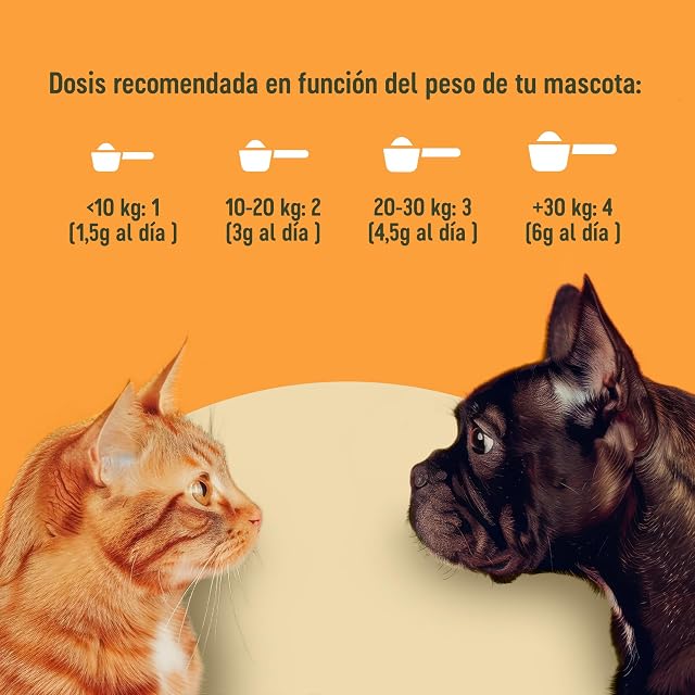Foto 4 de 7 de Articu Pet Calcio para Perros y Gatos