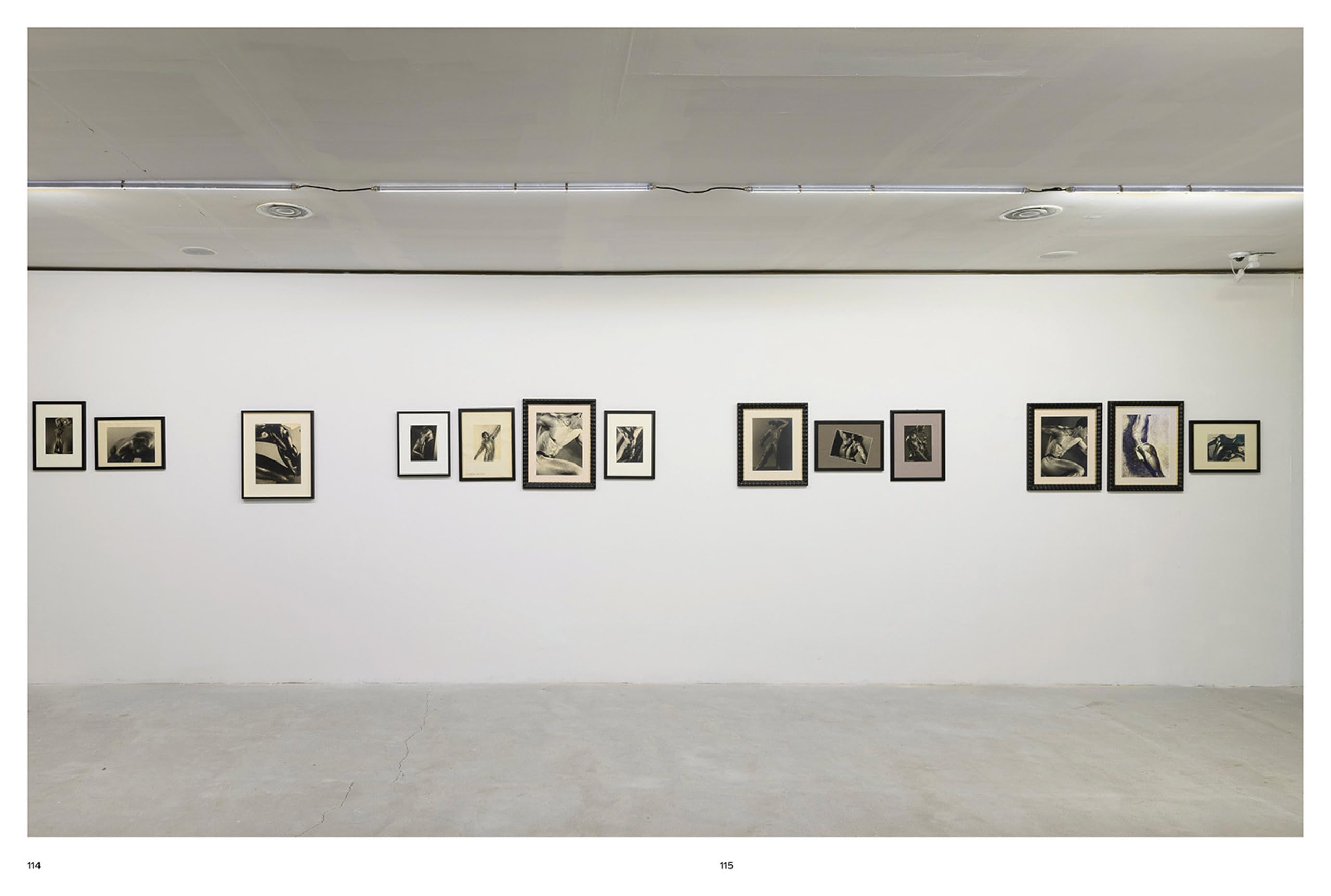 Elio Luxardo. Nudes. Ediz. italiana e inglese