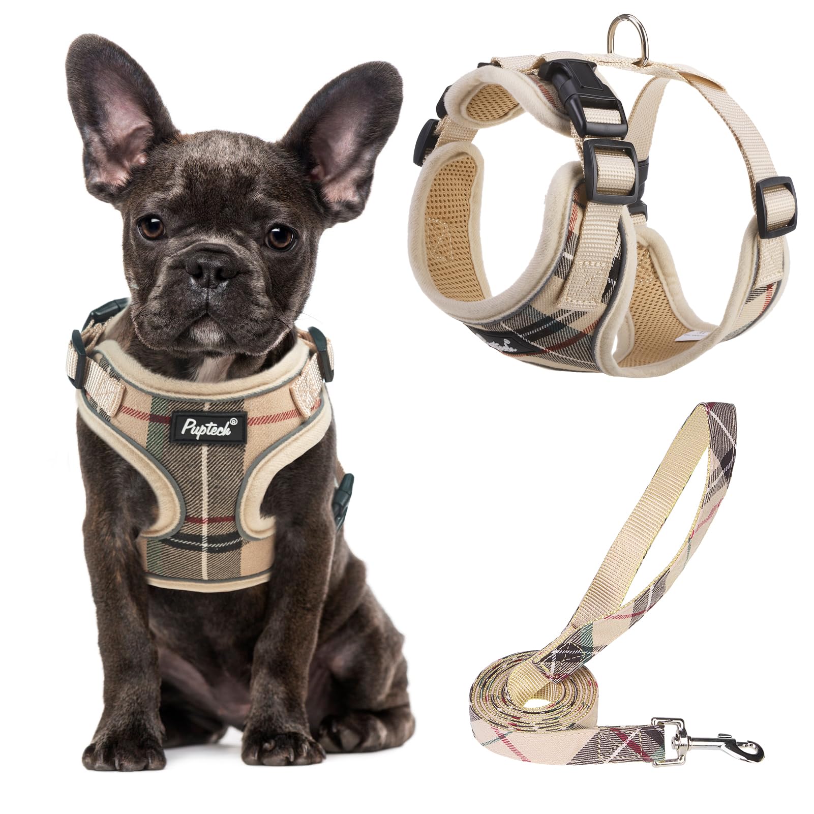 PUPTECK Dog Harness Small Dog and Lead Set