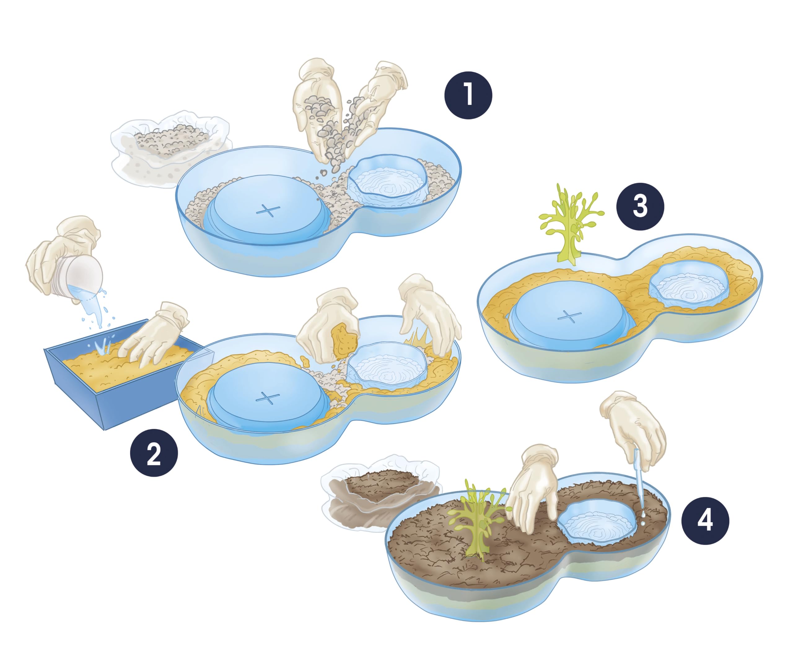 Clementoni Scienza e Gioco Lab - Rain Garden Terrarium, Kit Botanica 8+