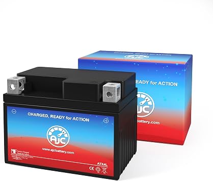 AJC Battery Compatible with EverStart ES4LBS Powersports Battery
