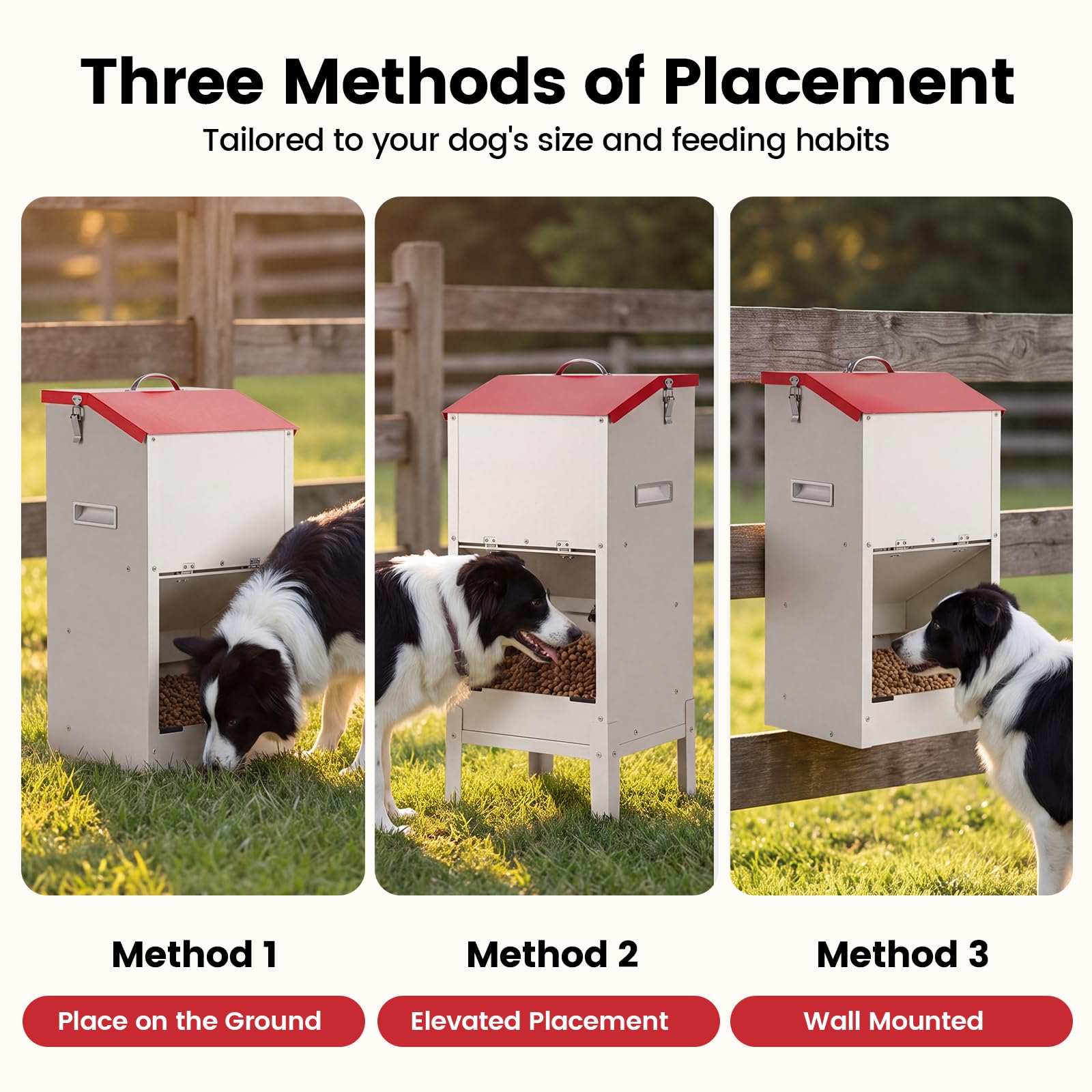 Alimentatore automatico per cani da 25 libbre, distributore automatico di