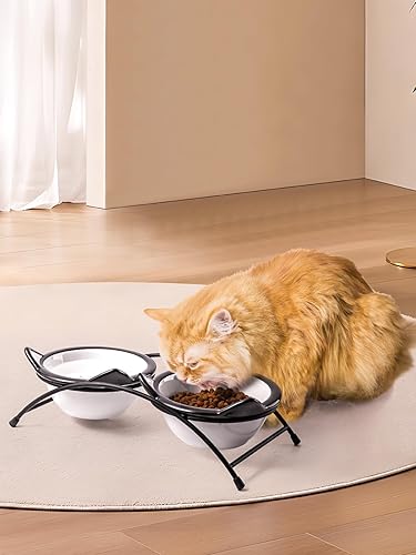 Miniatura 7 de Y YHY Cuencos de comida para gatos, cuencos elevados de 12 onzas para comida y agua, platos elevados de cerámica para mascotas con soporte, gatos y