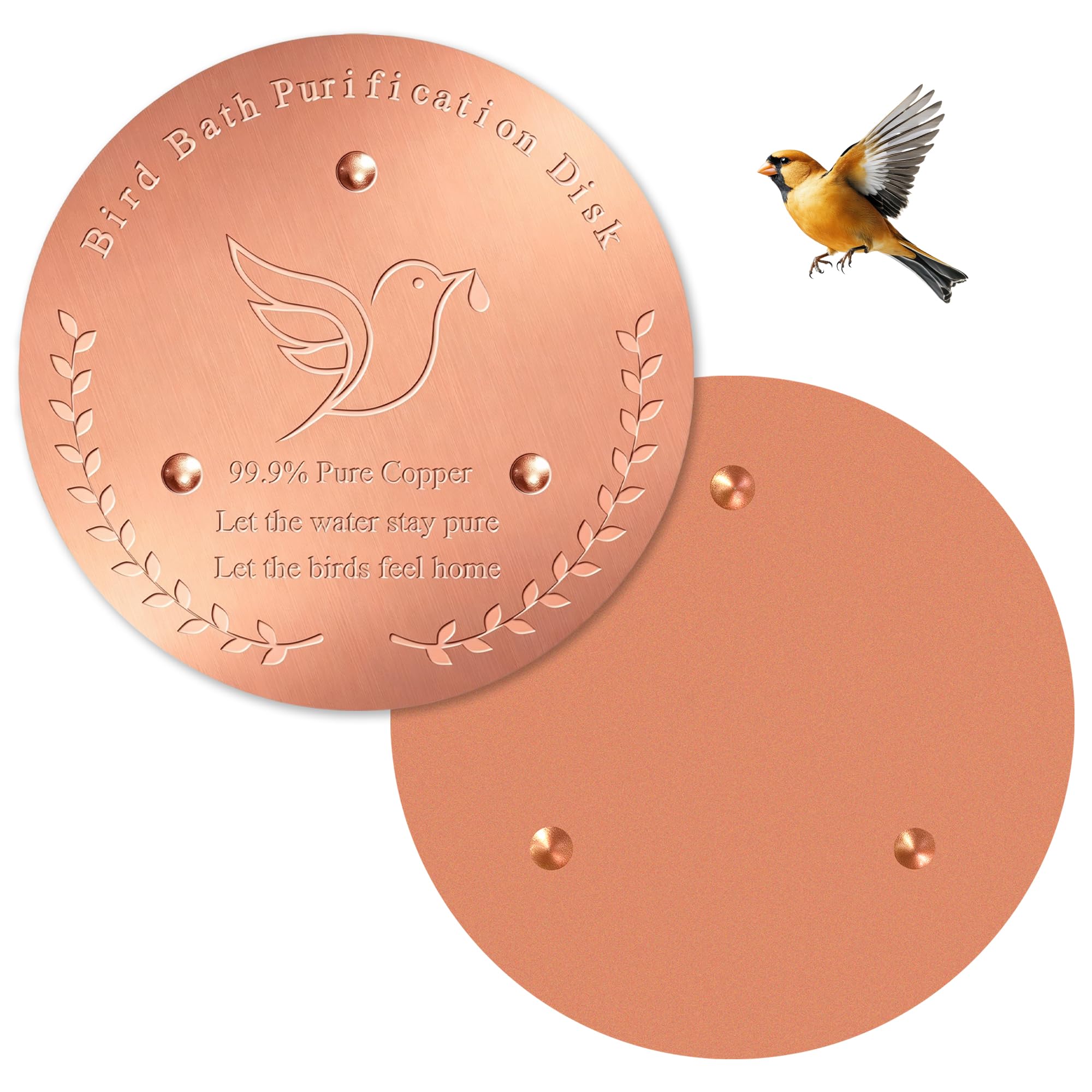 KORVANEL 100mm Copper Disc for Bird Bath, Copper Disc for Water Feature, Purification Disk for Bird Bath, Round Outdoor Accessory for Garden Fountain, Patio Bowl, Backyard Wildlife Drinking Station