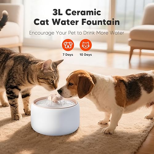 Miniatura 9 de WOPET Fuente de agua inalámbrica para gatos, dispensador automático de agua de cerámica para gatos, fuente de agua inalámbrica para perros con