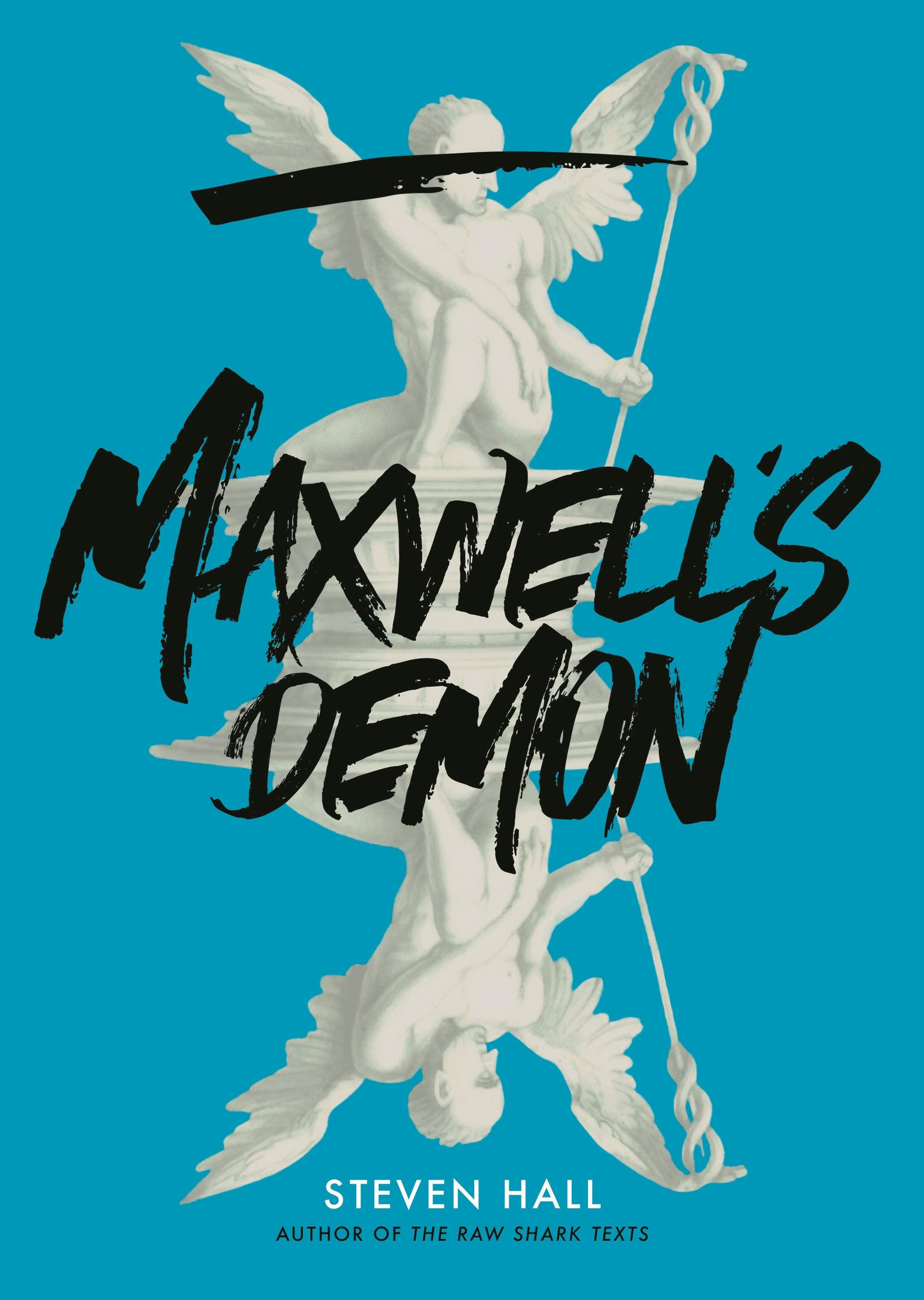Maxwell's Demon by Steven Hall 9781847672469 NEW book