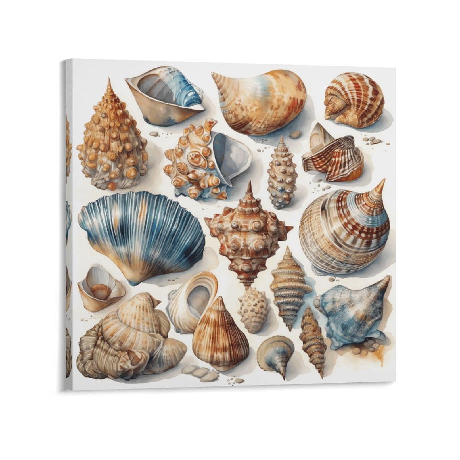 KLOPH Hand Drawn Seashells Canvas Wall Art for Living Room 10x10inch Modern Artwork Painting for Bathroom Hanging Canvas Prints Aesthetic Wallart for Bedroom Kitchen Office Wall Decor