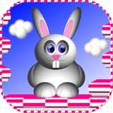 Fun for all ages Bunny Hopper