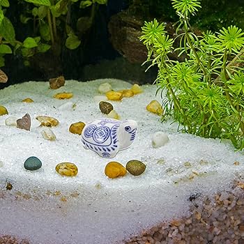 Amazon.co.jp: HOMSFOU ウミガメ フローティング 陶器 亀 置物