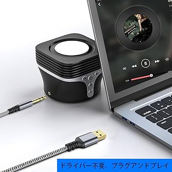 Amazon.co.jp: USB to 6.35mm ステレオ標準プラグケーブル USB - 6.35