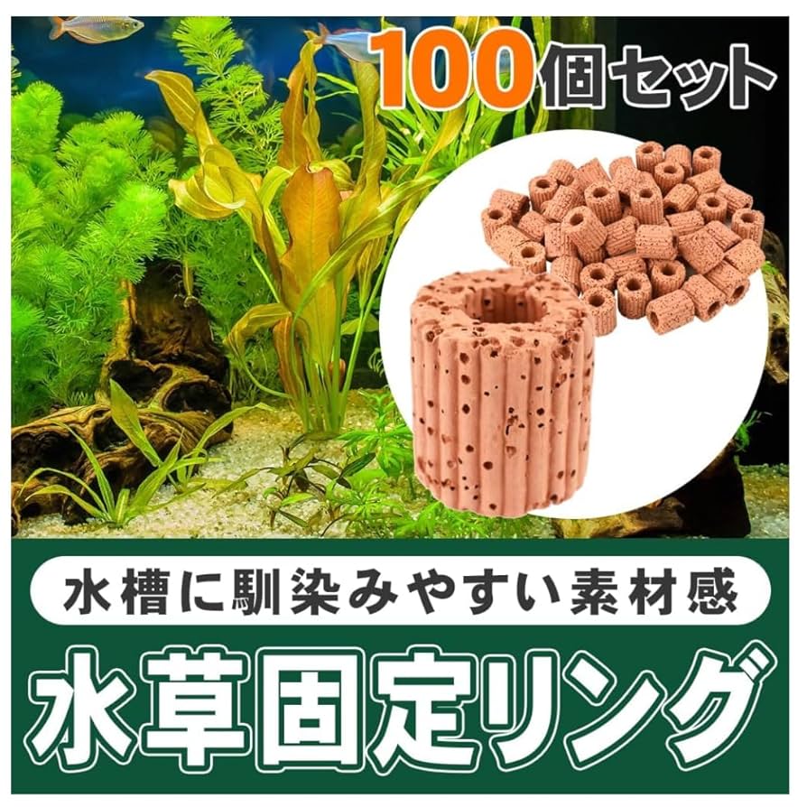 【即購入OK♥】10個セット 水生植物固定リング 水槽オーナメント おもり Amazon.co.jp: エイトショップ 屋 水生植物固定リング 水草固定