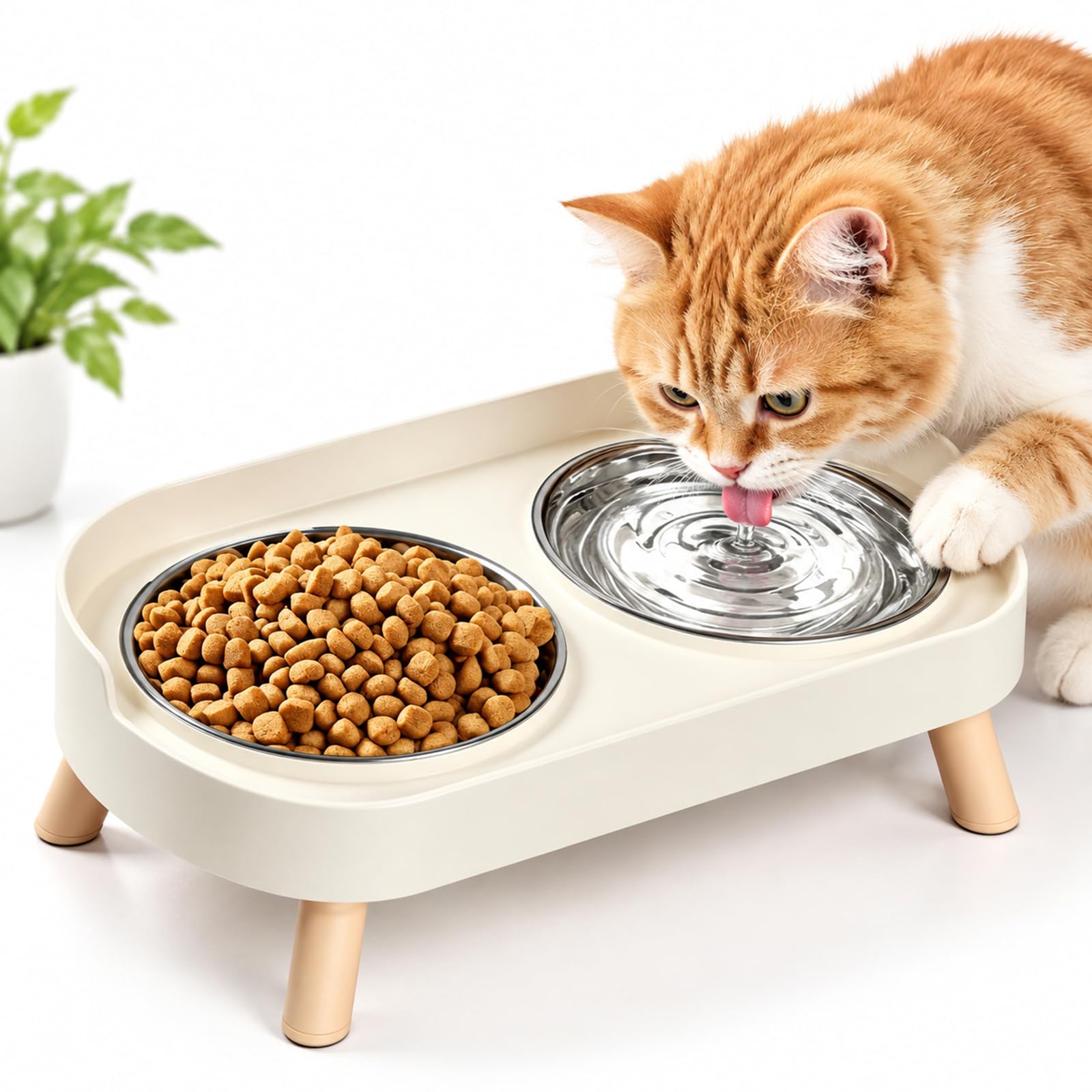 Raised cat bowls, Stainless Steel cat Food and Water Bowls with Anti-Splash Rim, Elevated Cat Bowls, dog bowls with stand, Feeding Supplies for Cats & Puppies – White