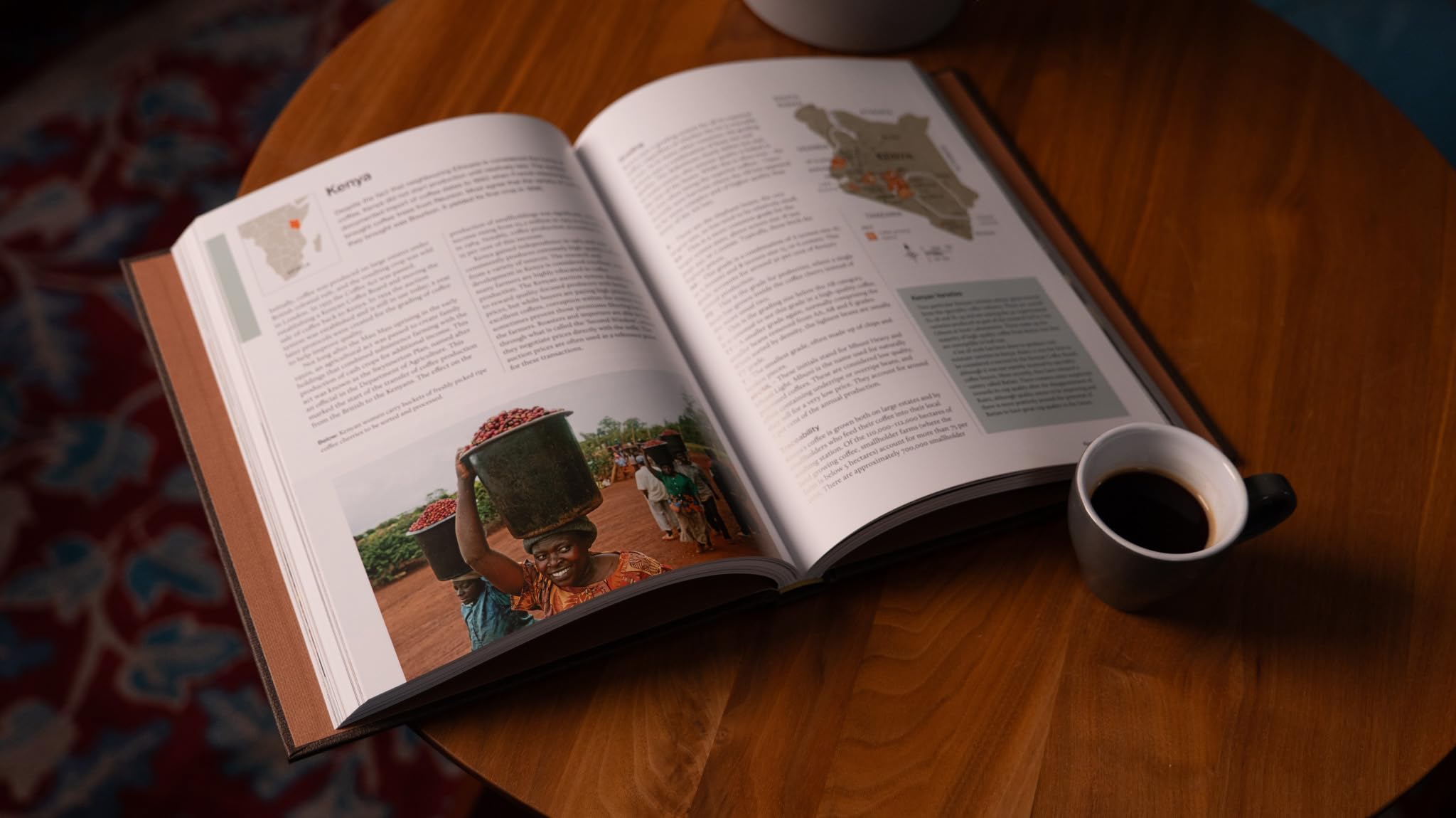 The World Atlas of Coffee 3rd edition: From beans to brewing – coffees explored, explained and enjoyed