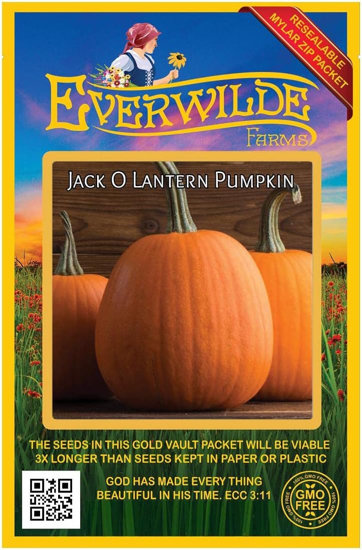 Everwilde Farms - 1 Lb Jack O Lantern Pumpkin Seeds - Gold Vault
