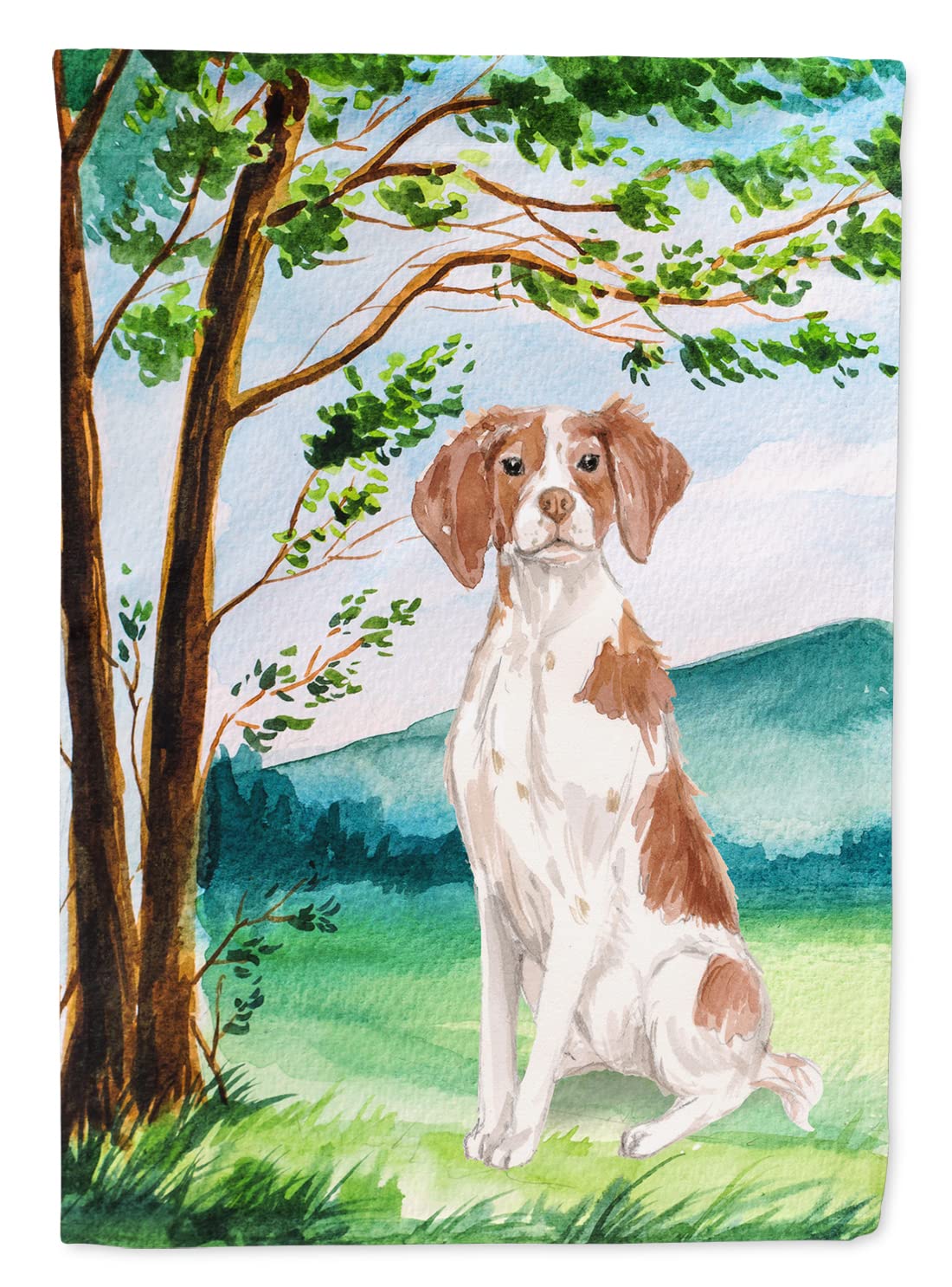 Drapeau Brittany Spaniel en toile de qualité supérieure pour façade de maison