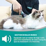 Ver la foto 7