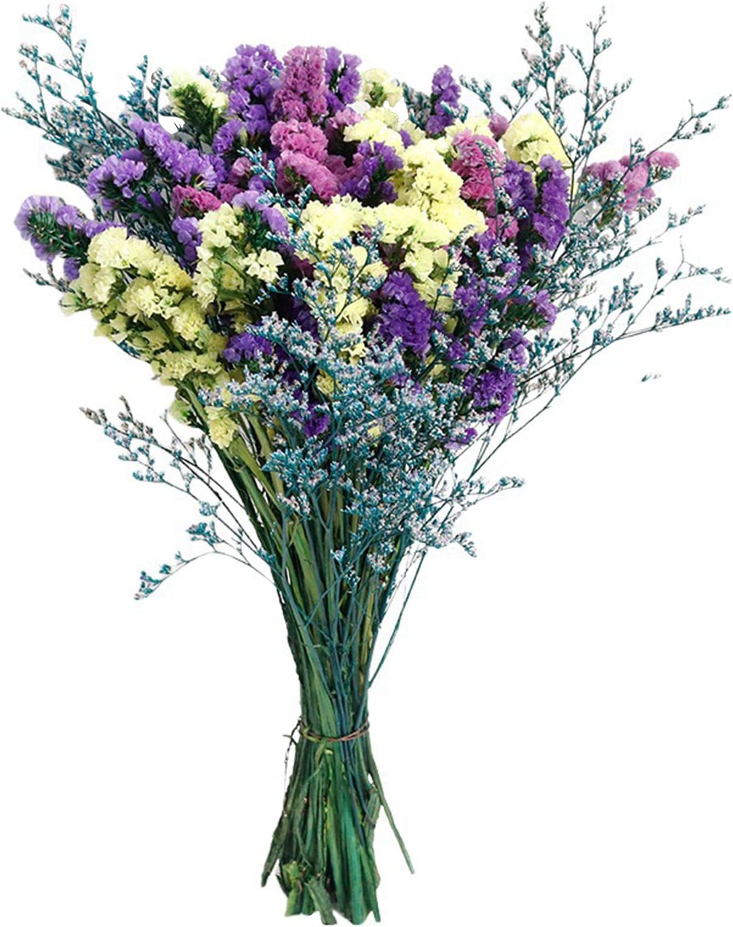 Dry Flower Arrangement - Forget Me Not, Myosotis & Blue Baby‘s Breath, Purple Yellow Pink Natural Dried Flowers, Natural Looking Centerpiece for Home Decor, Office Gift