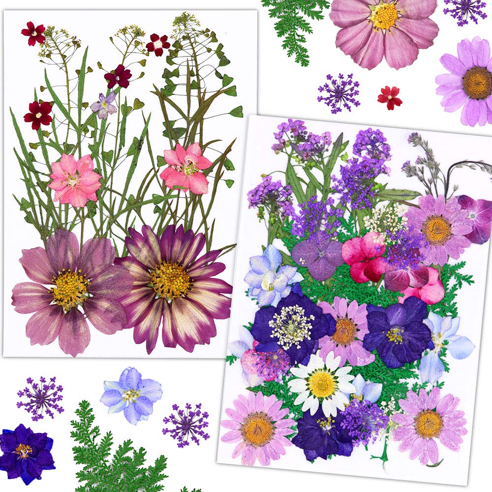 54 Pieces Natural Dried Pressed Flowers Leaves Mixed Assorted Colorful Leaves Petals for Candle Resin Jewelry Nail Pendant Crafts Making Art DIY Floral Decors