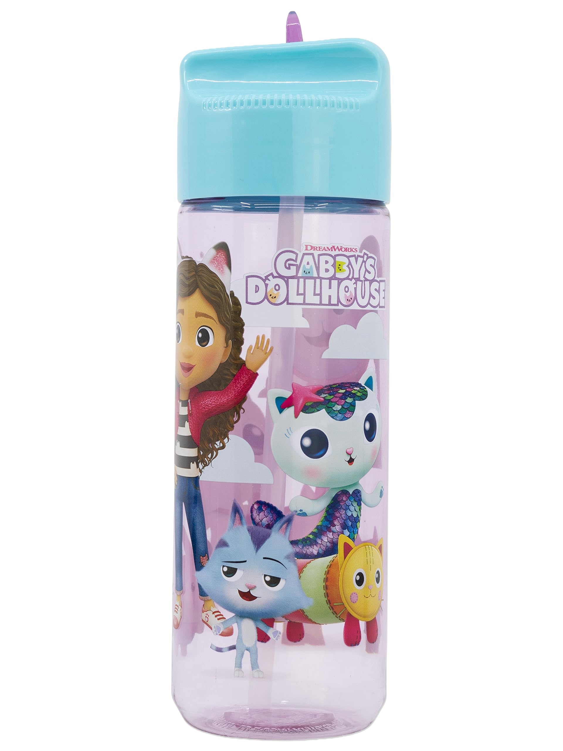 DREAMWORKS GABBY'S DOLLHOUSE Girls Water Bottle With Straw, One Size Pink