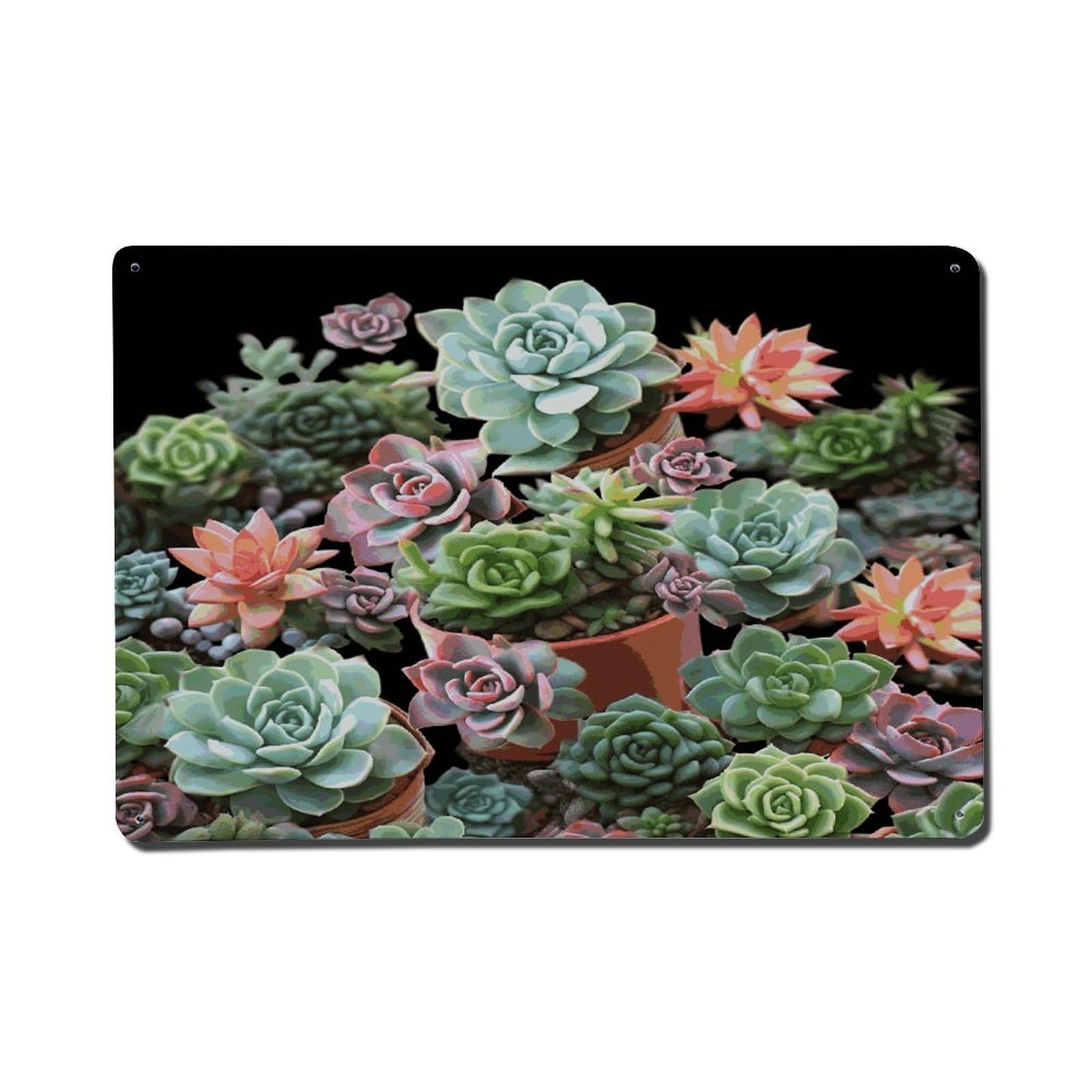 Adfgyerh Style Succulents Metal Signs Funny, Aluminum Tin Sign Indoor Outdoor Decor, Vintage Signs For Home Office Kitchen Bar Cafe Garden Farmhouse Wall Decor