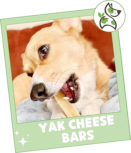Miniatura 7 de Nature Gnaws Yak Chews para perros - Huesos de queso duros naturales de primera calidad - Golosinas masticables de larga duración para masticadores