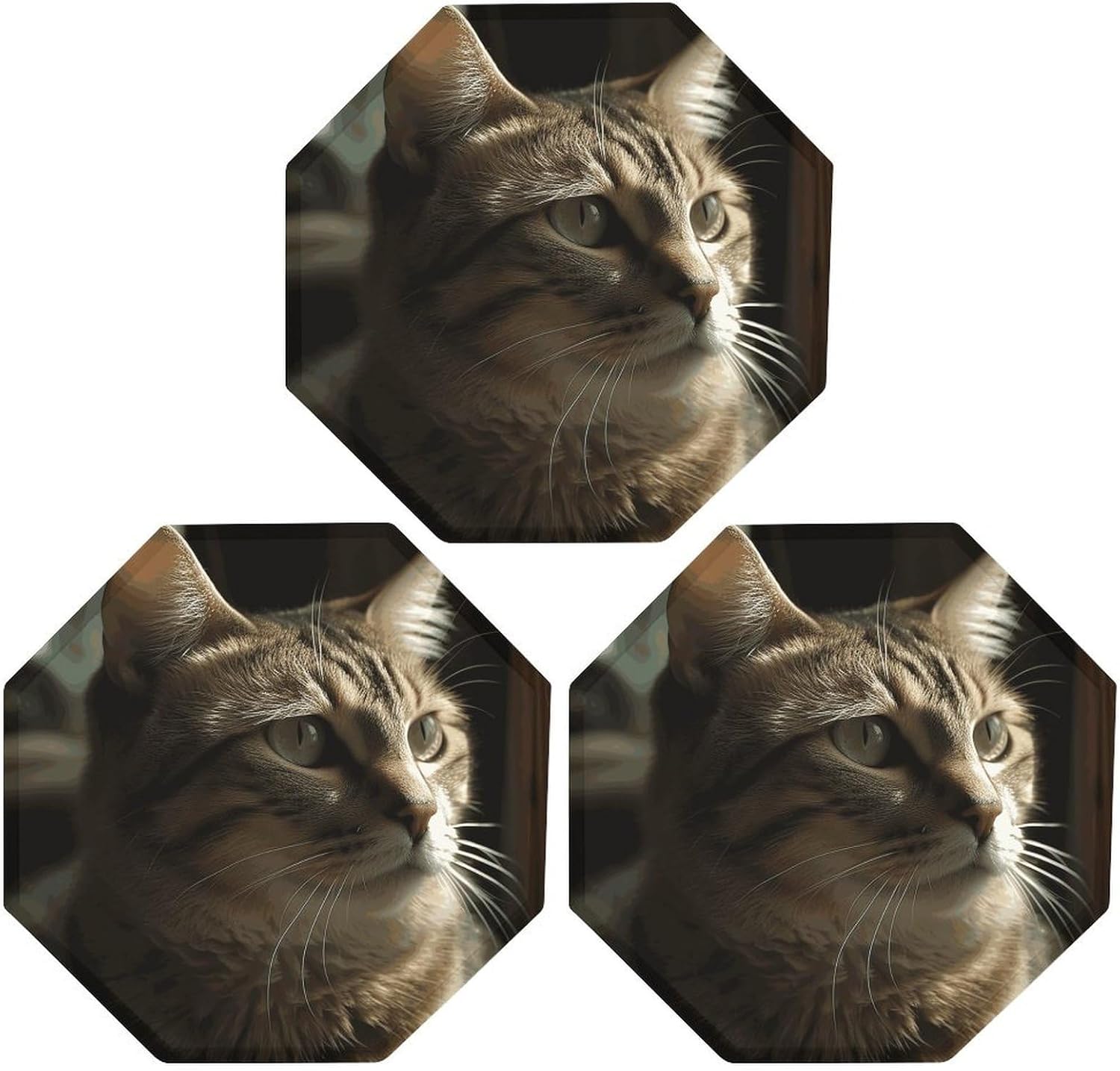 Ctagon Metal Sign for Home, Modern Display Plate for Kitchen, Tabby Cat Plates Accent Hanging Wall Decorations 3PCS for Living Room, Bedroom, Hallway, Hotel