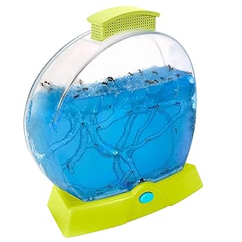 太陽に蟻 人の 群れが 運んでる “Happiness” ちっぽけな 角砂糖を 探し