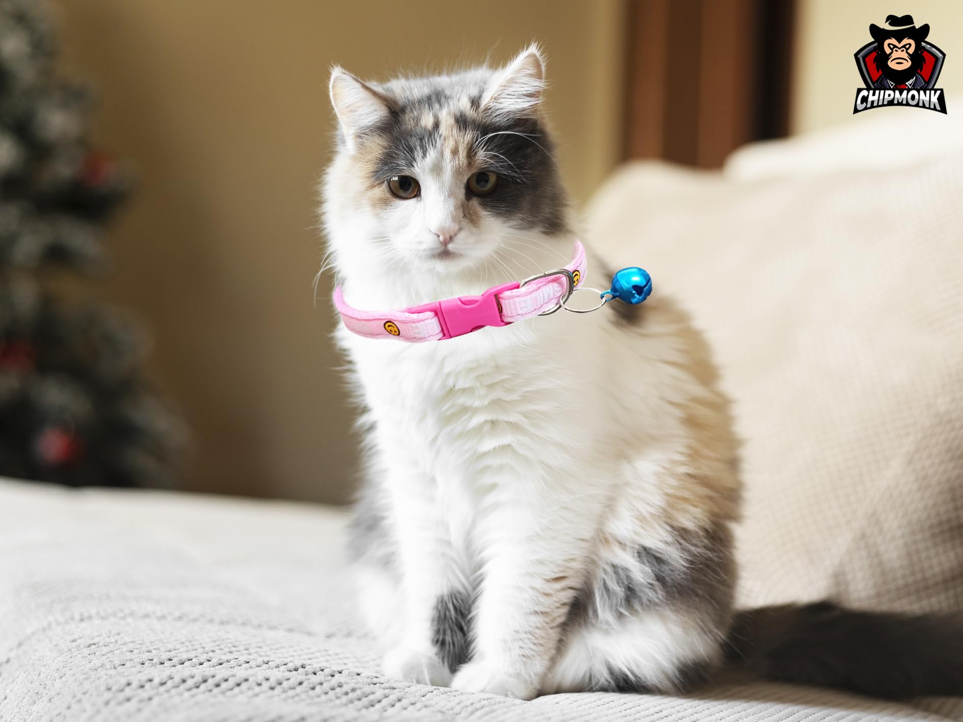 Chipmonk Cat & Puppy Collars with Bell,Kitten & Small Dogs Soft Adjustable,Safe,Solid & Protective Breakaway for Cats & Puppies,Cute Kitty Neckband with Smile Collars Print-(Pink,Black,Dark Blue) 2