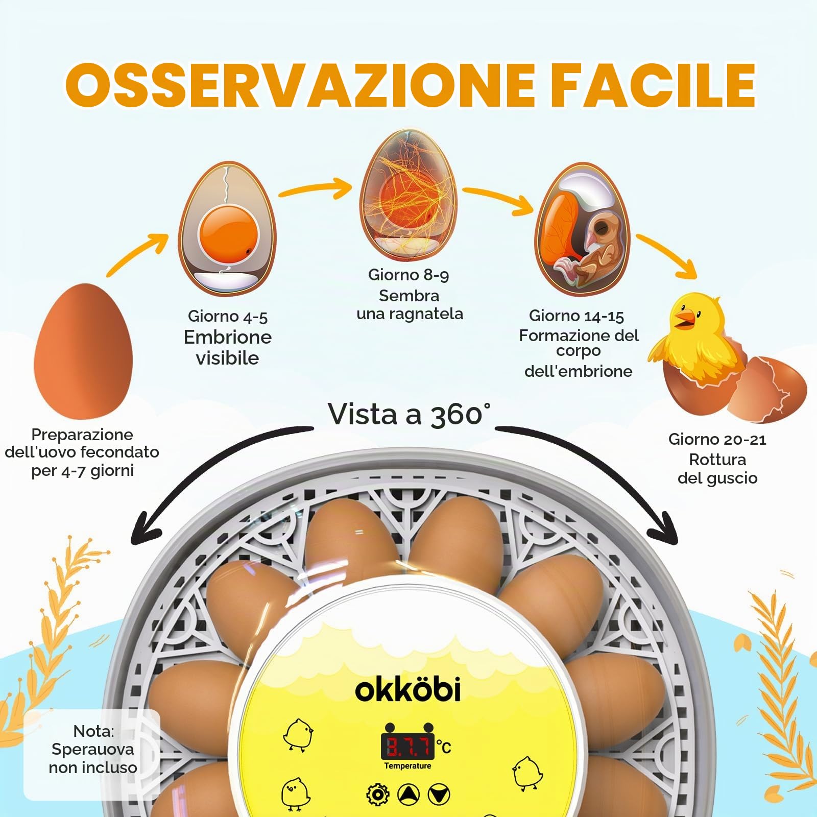 M12 - Incubatrice Uova Gallina, Facile da Usare e Pulire, Vista a 360 | Automatica con Girauova Automatico e Controllo Umidità, Precisi della Temperatura, Versatile e Spaziosa - Bianco e Giallo