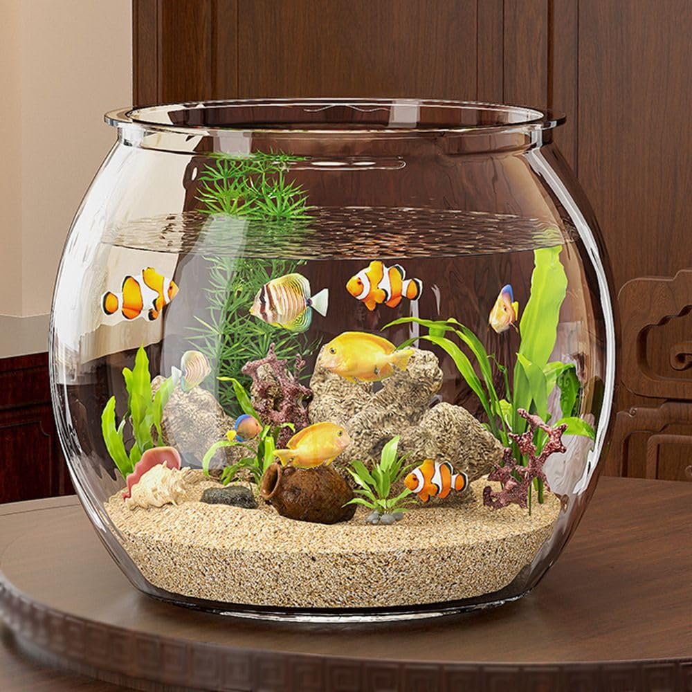 Runde Fischschale, klare Fisch-Aquarien, Heimdekoration, Wassertierbehälter, Hydrokultur-Pflanzenvase für Tisch-Wohnzimmer (M)