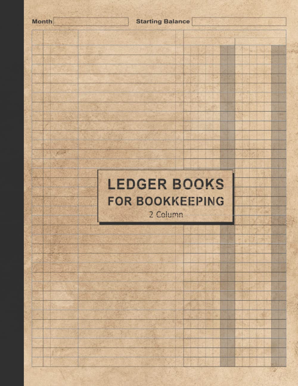 Ledger Books for Bookkeeping: 2 Column Accounting Ledger Book, Budgeting and Money Management | Home School Office Supplies (Columnar Notebook)
