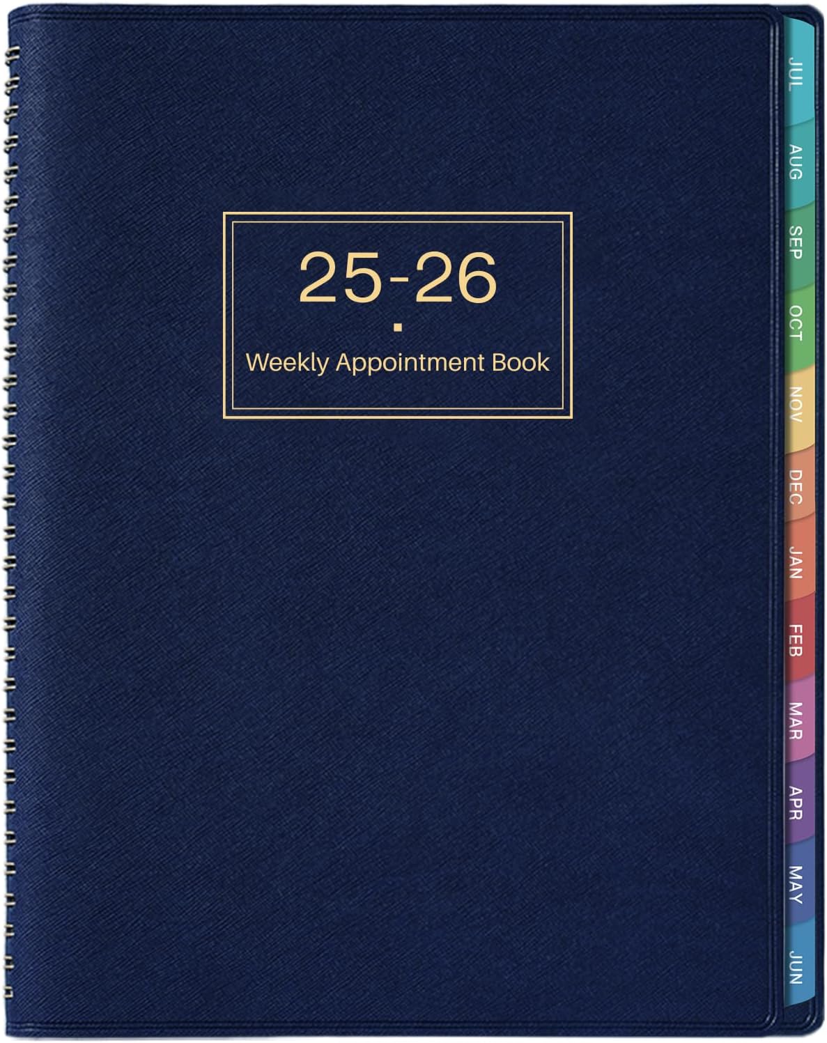 2025-2026 Appointment Book - 2025-2026 Diary, Jul 2025 - Jun 2026, A4 Week to View Appointment diary 2025-2026, Hourly Planner in 15-Minute Times Slots, Soft Leather Cover, 21.8 x 29 cm, Colorful Tabs