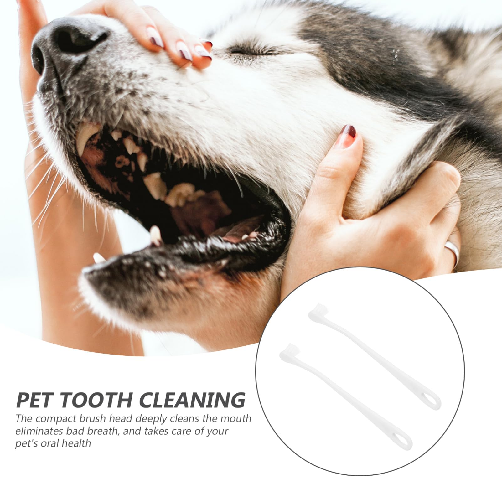 BESPORTBLE Pet Care Soft Bristle Toothbrush for Dogs Cats 2-Piece Set for Cleaning