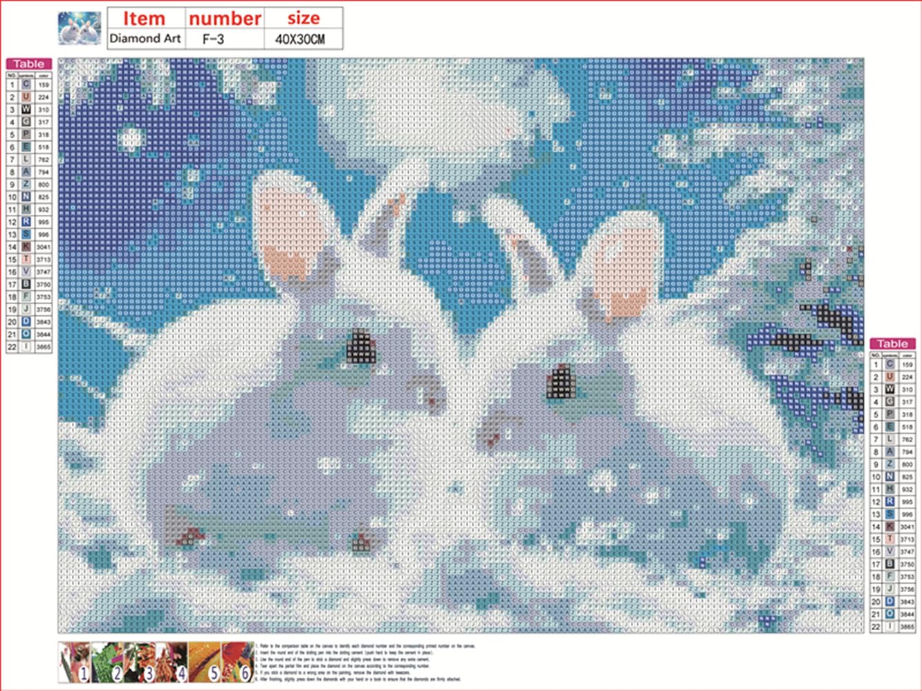 MaiYiYi Lovely White Rabbits Diamond Painting 5D Full Square Diamond Painting Kit for Adult - Animal Rabbit Diamond Dots Kit for Kids Home Decor Art Gift (40X30CM/15.7X11.8 inches)